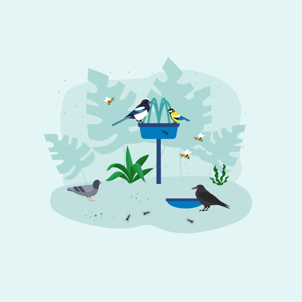 PÍTKO PRO NERATOVICE