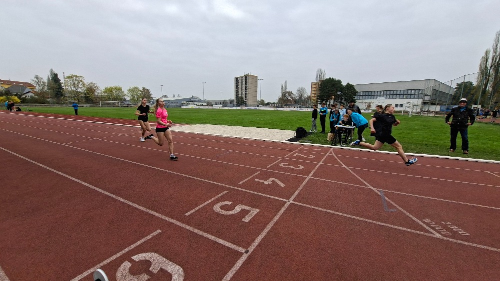 20260415_111340.jpg