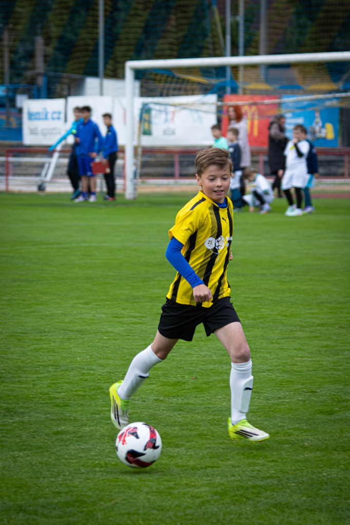 IMG_8536.jpg