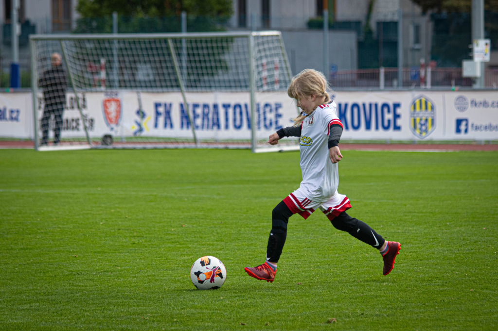 IMG_8864.jpg