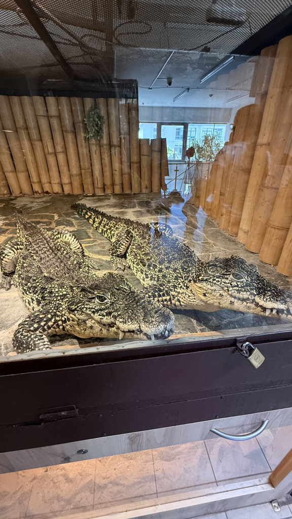 IMG_5755.jpeg