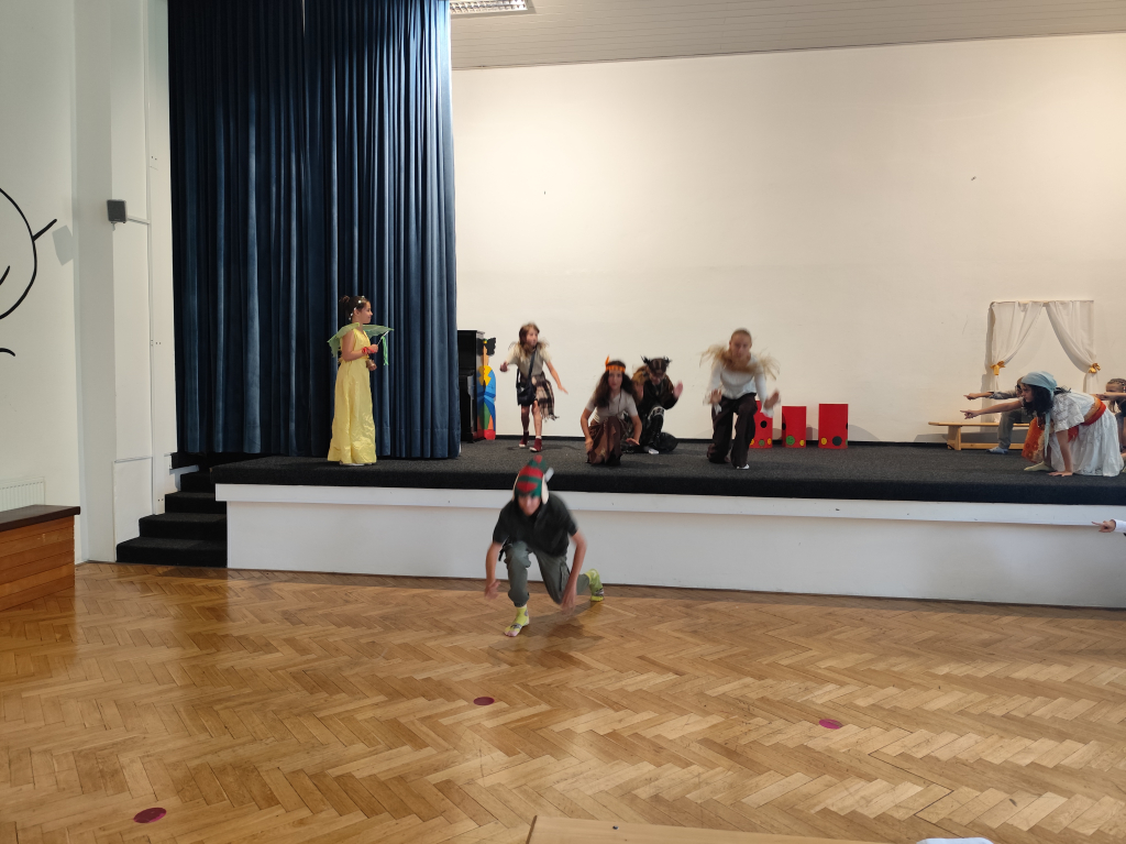 IMG_20260724_105316.jpg