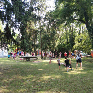 IMG_20230626_162525.jpg