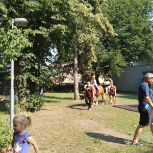 IMG_20230626_162626.jpg