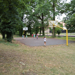 IMG_20230724_124151.jpg