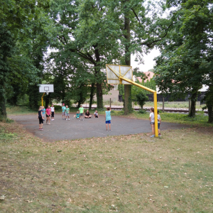 IMG_20230724_124558.jpg