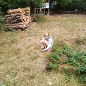 IMG_20230725_104604.jpg