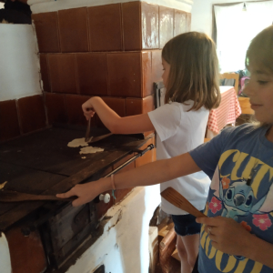 IMG_20230725_111600.jpg