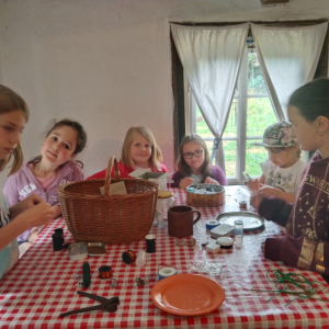IMG_20230725_113445.jpg