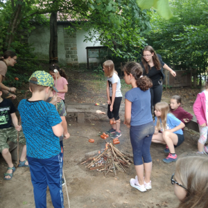 IMG_20230725_124512.jpg