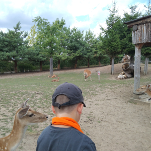 IMG_20230727_122941.jpg