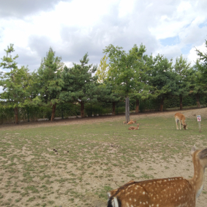 IMG_20230727_122943.jpg