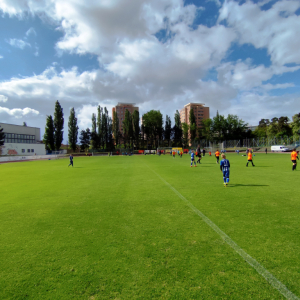 IMG_20250515_092550.jpg