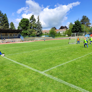 IMG_20250515_101750.jpg