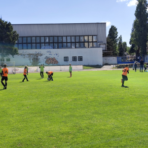 IMG_20250515_101903.jpg