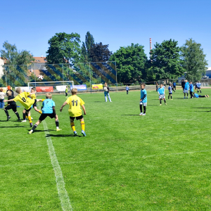 IMG_20250515_105120.jpg